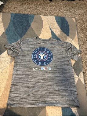 Nike Chicago Cubs Gray Performance Short Sleeve Tee